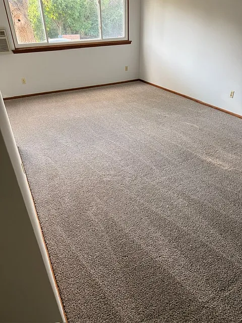 1 bed, 700 sqft, $1,050 — Photo 1