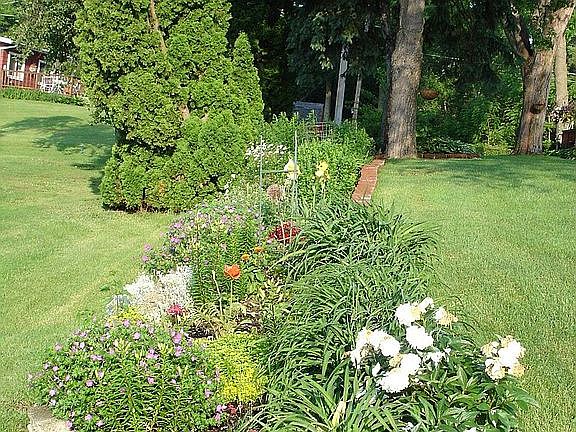 garden front yard side