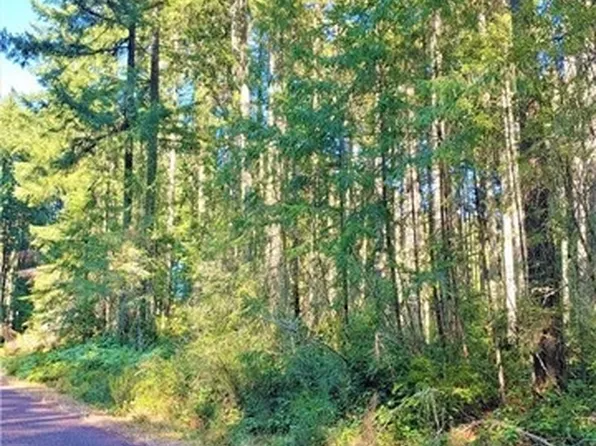 10001 129th Avenue Ct, Anderson Island, WA 98303