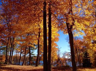 32030 SW Pickerel Lake Rd, Detroit Lakes, MN 56501