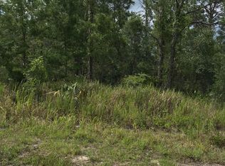 0 Woodland Waters Blvd, Brooksville, FL 34613