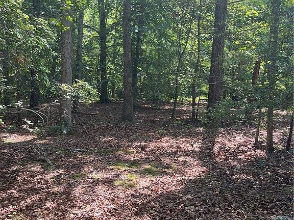 4th image of Minitree Glen Ln