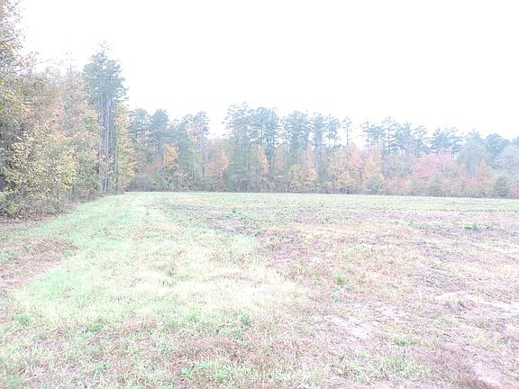 4th image of 17514 Highway 250