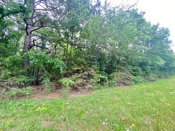 3rd image of TRACT 3 State Highway 19 #S