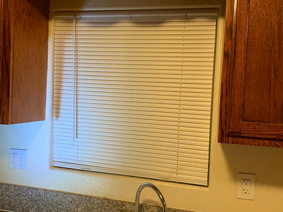 Kitchen Sink and Window