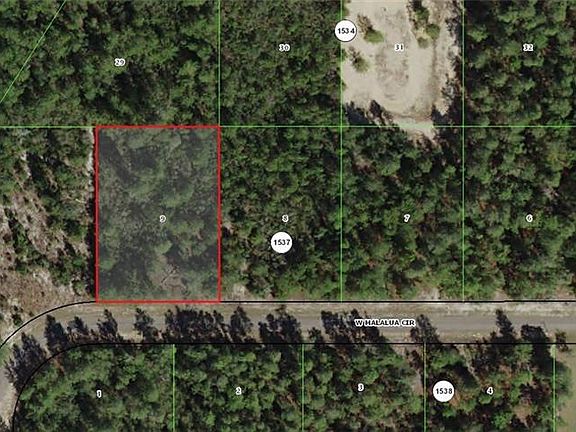 4th image of 4402 W Malaluka Cir