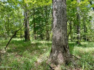 6 Old Red Star Rd, Wesson, MS 39191