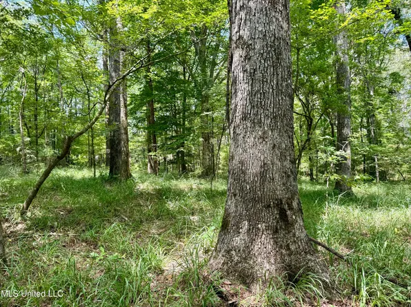 6 Old Red Star Rd, Wesson, MS 39191