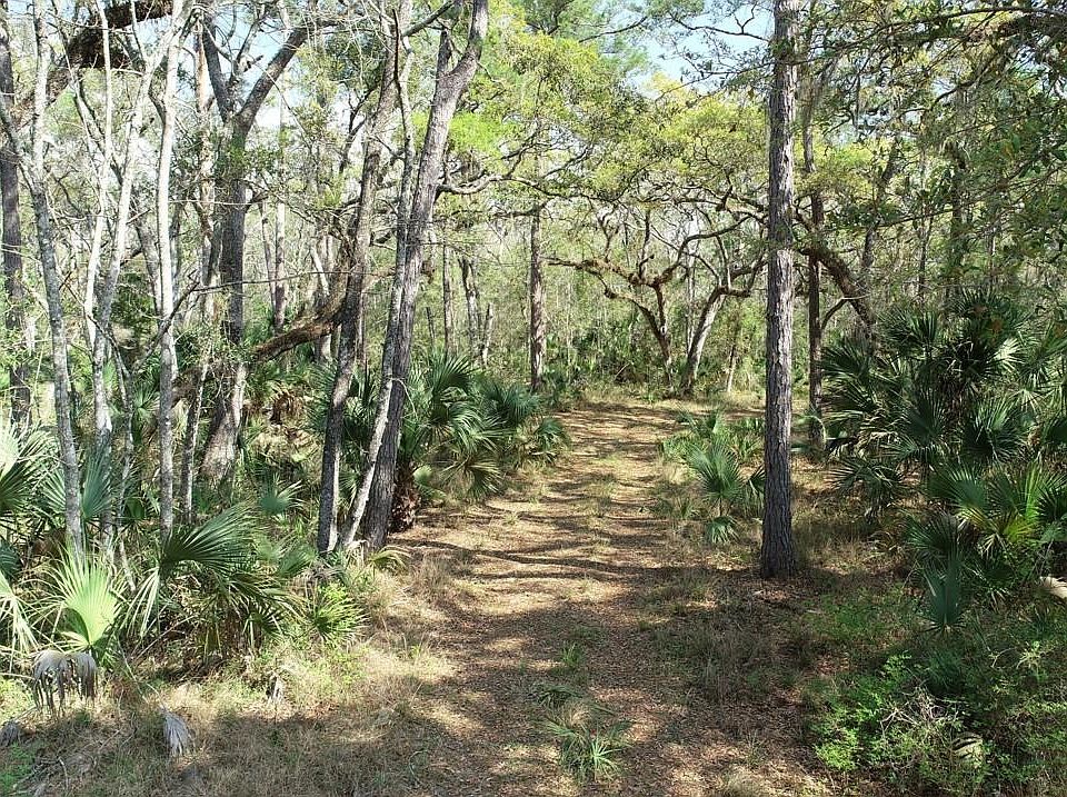 0 Strickland Bridge Rd, Perry, FL 32348 Zillow