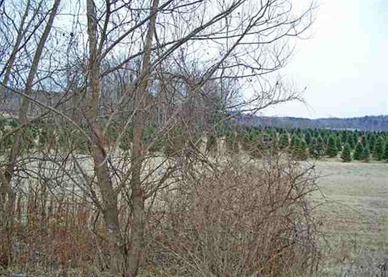 3rd image of lot #1 MECO MEADOWS Lane