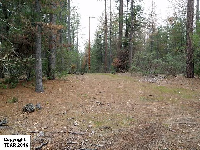 6091 Allans Way photo 1