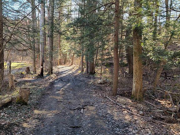 2nd image of TBD Shady Lane