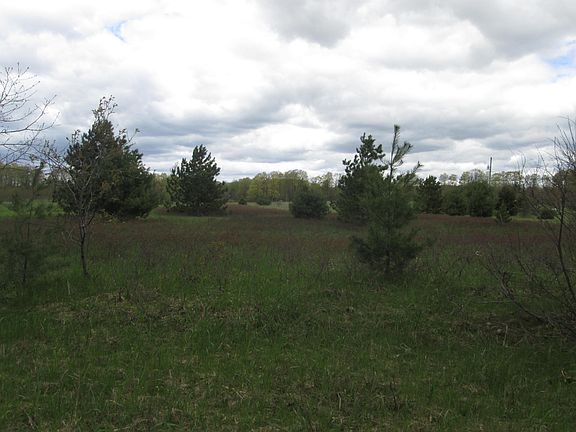 3rd image of Agren Road 10 +/- Acres