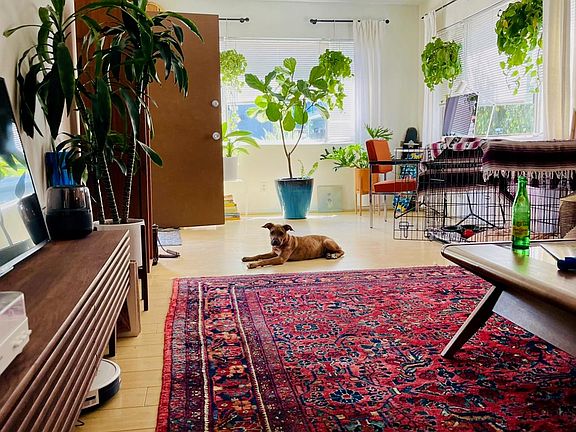 3rd image of 19 24th Ave APT 1