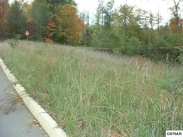 1st image of 55 Mistletoe Loop #55