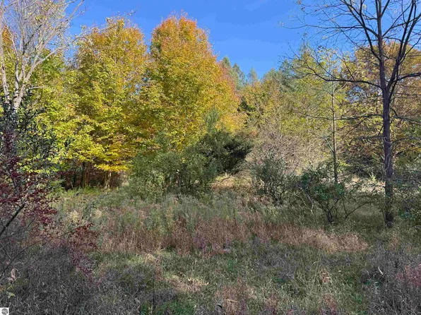 PARCEL 6 S Tower Rd, Maple City, MI 49664
