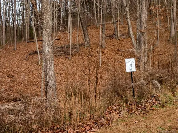 38 Balsamwood Rd, Leicester, NC 28748