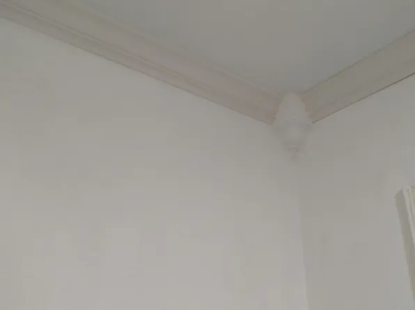 3617 Cornell Blvd, Winston Salem, NC 27107