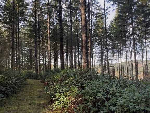 4th image of 0 Seminary Hill Road