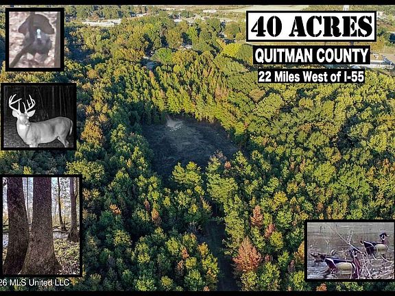 2nd image of Howard St