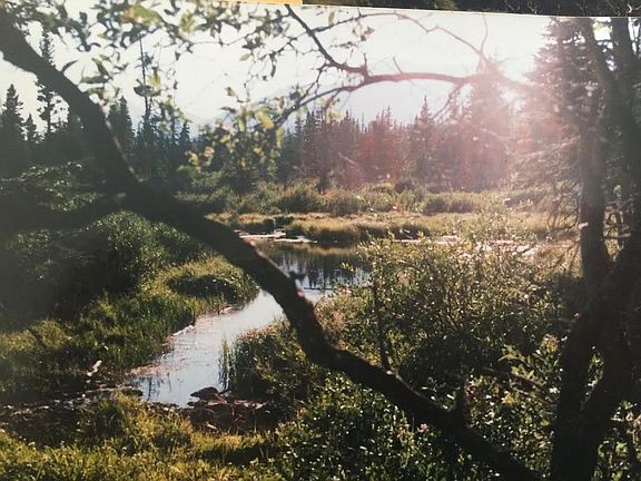 5th image of Nhn Off Highway 89