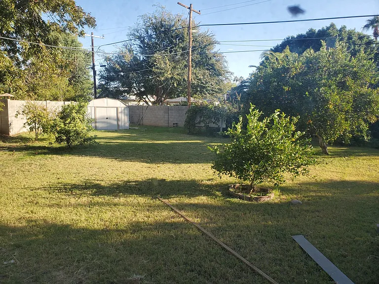 1439 E Solano Dr — Photo 10
