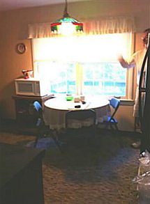 5th image of 12829 Deborah Dr