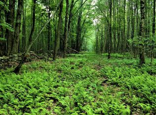 LOT 1 Upper Woods Rd, Pleasant Mount, PA 18453