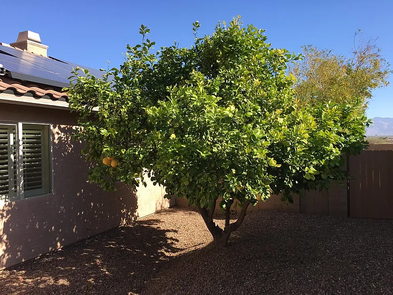 10218 N Turquoise Moon Way — Photo 25