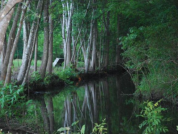 creek on property