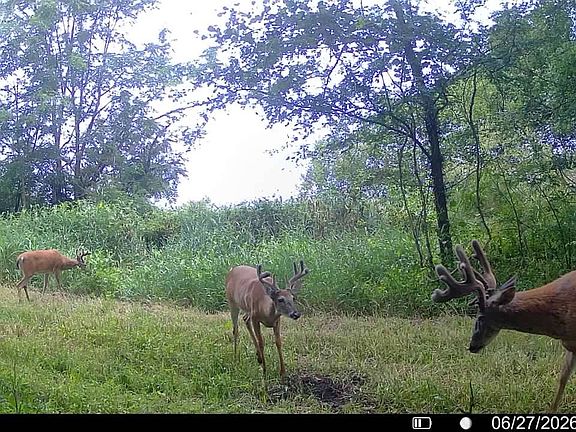 2nd image of Highway 159