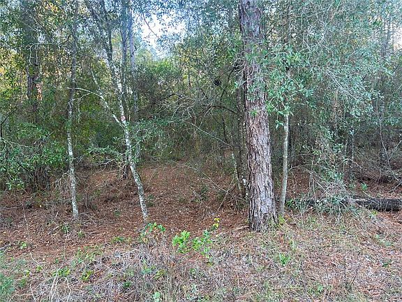 3rd image of Lot 4+ BLAIR AVENUE LOT 4