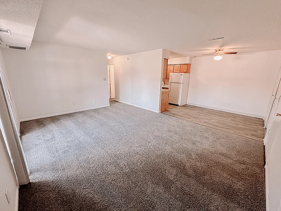 Spacious Living Room