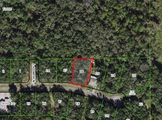 93 W Eridani Ct, Citrus Springs, FL 34434