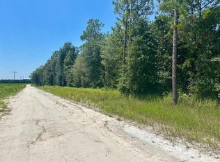 5919 NW 10th Ave LOT 11, Bell, FL 32619