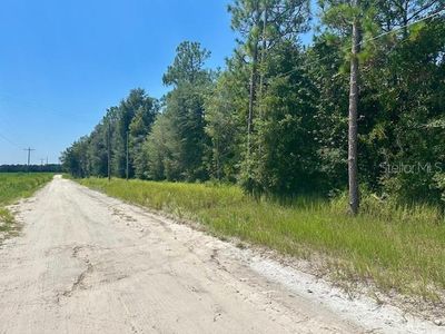 5919 NW 10th Ave LOT 11, Bell, FL, 32619