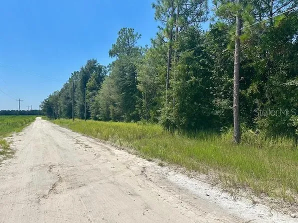 5919 NW 10th Ave Lot 11, Bell, FL 32619