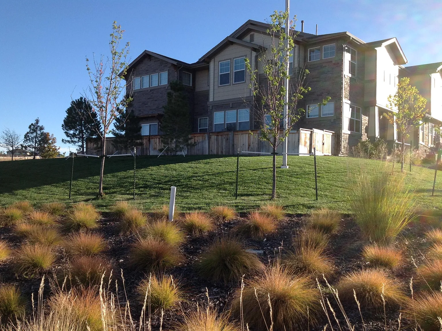 2 bed, 2.5 bath, 1818 sqft, $3,300 — Photo 3