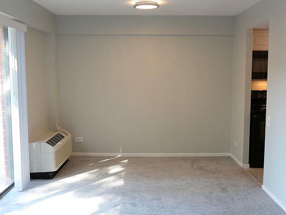 4th image of 1169 S Plymouth Ct APT 123