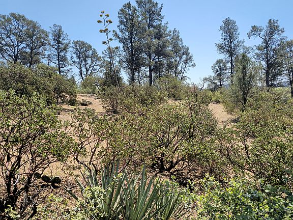 3rd image of 2400 S Rim Club Dr