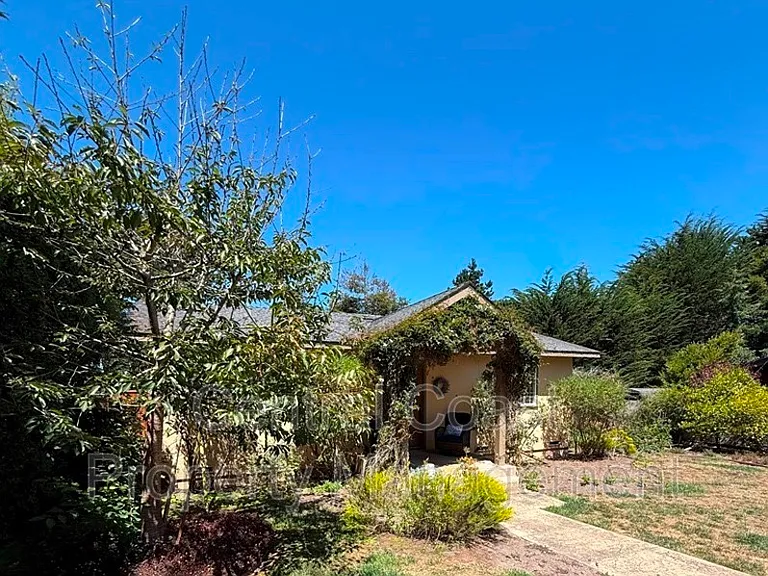 540 Evergreen Rd #ADU — Photo 2