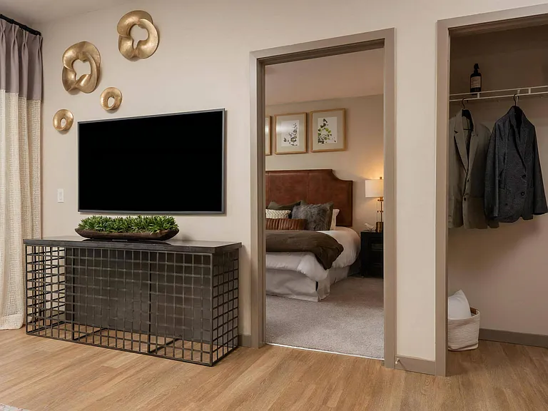 Apartment Living Room with Flat-Screen TV and Coat Closet