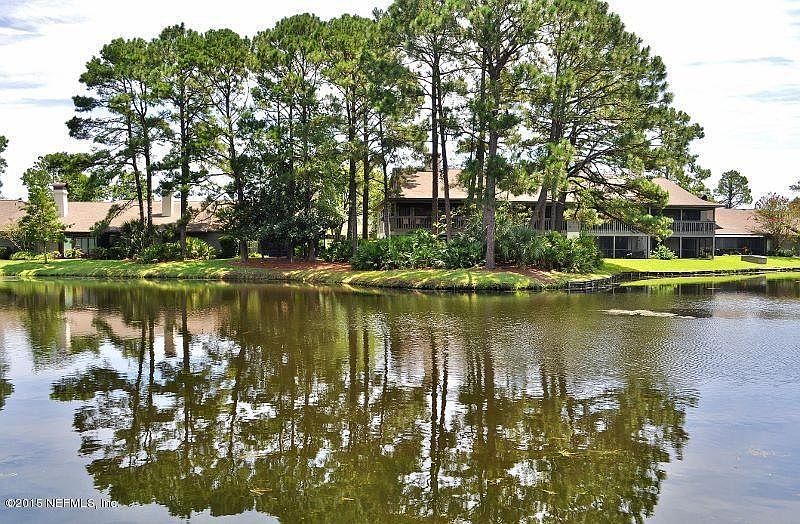 Backyard View