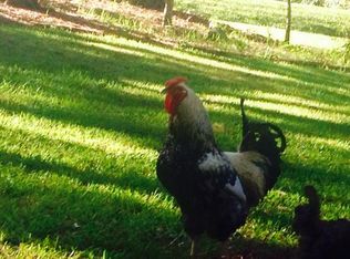 1120 Crestline Rd, Wendell, NC 27591