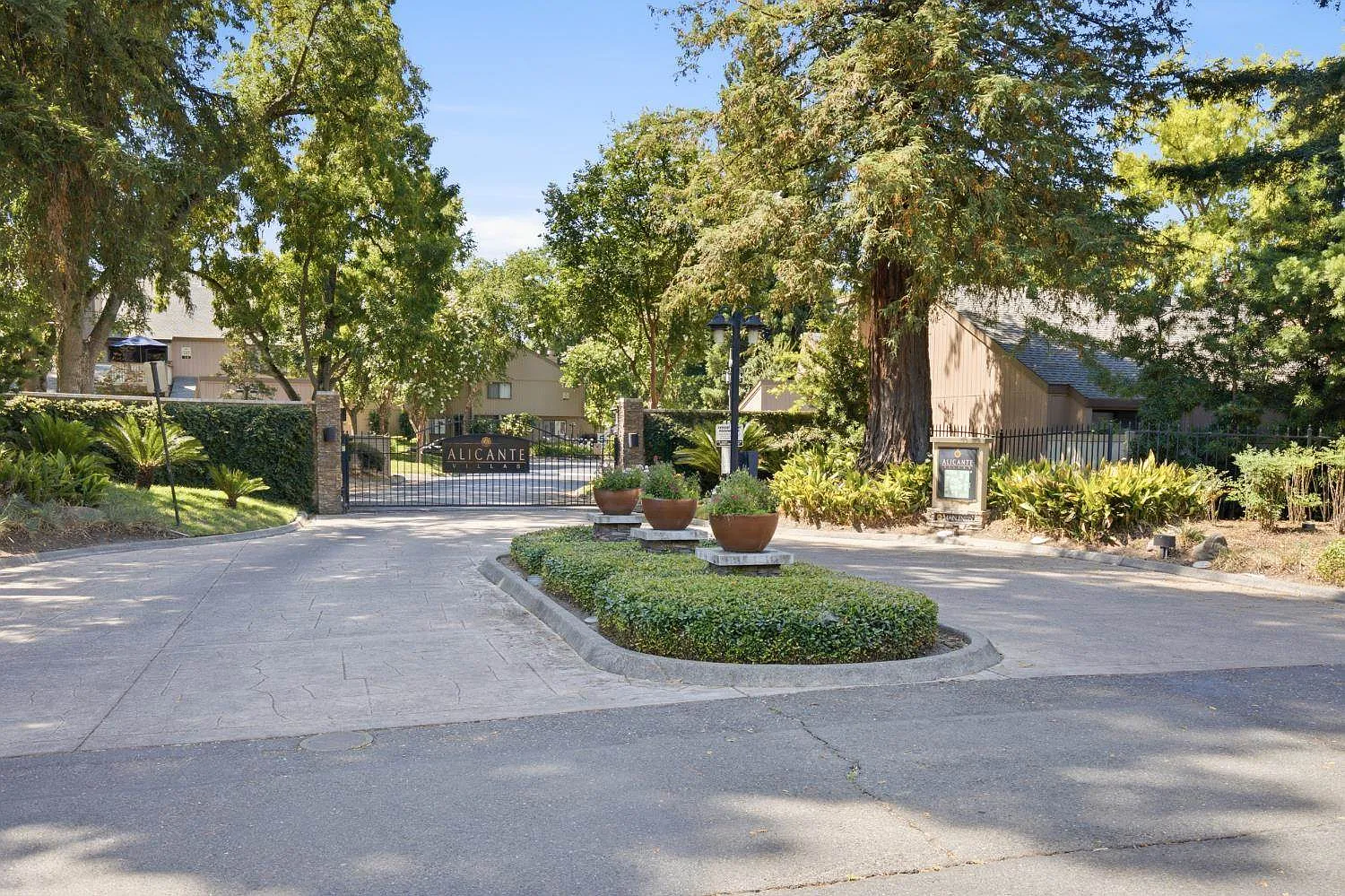 1 bed, 715 sqft, $1,800 — Photo 1