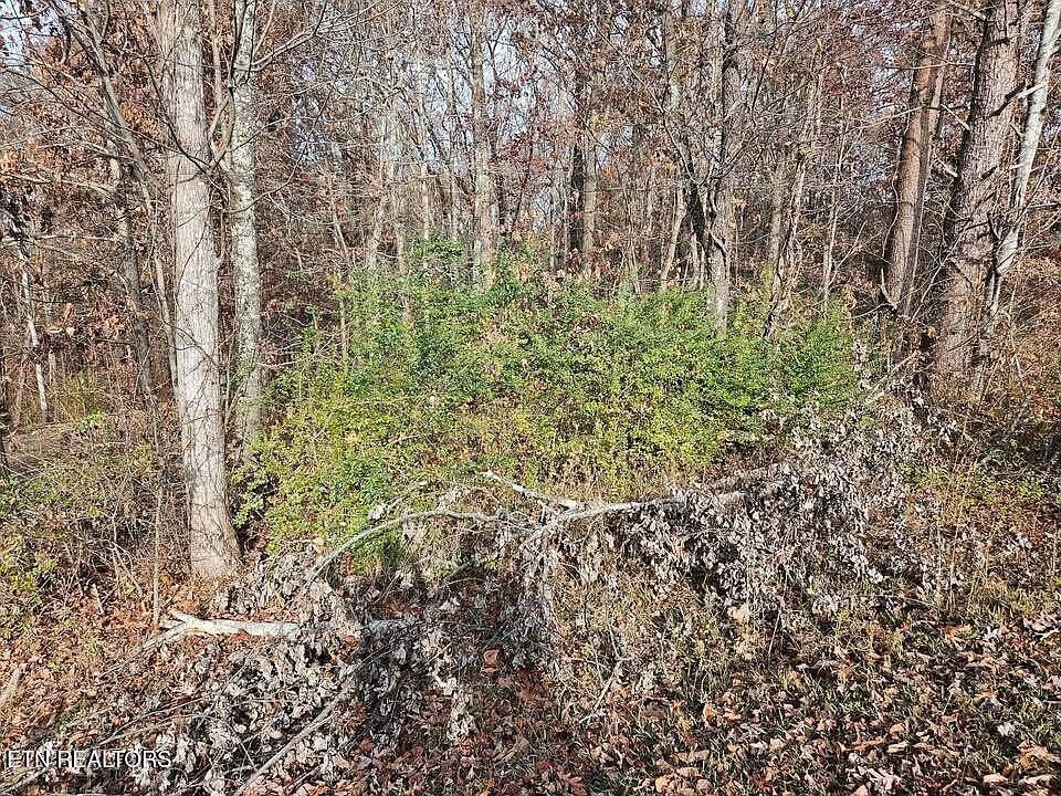 1st image of Lots 29/30 Smyrna Hts
