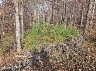 Lots 29/30 Smyrna Hts, Evensville, TN 37332