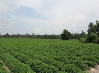 1502 Charlie Williams Rd, Sardis, GA 30456