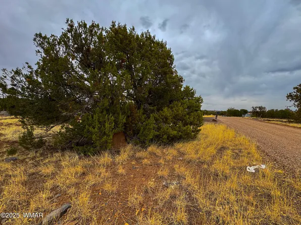 8512 Canyon Dr, Show Low, AZ 85901