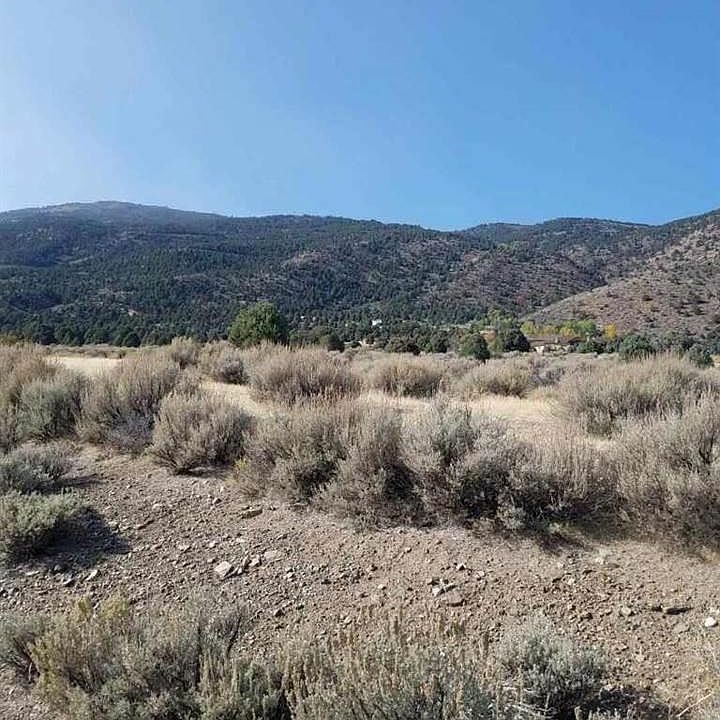 2nd image of 1534 Bolton Loop #7